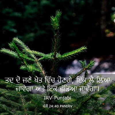 Picture 03 - ਮੱਤੀ 24:40 PANIRV - ਤਦ ਦੋ ਜਣੇ ਖੇਤ ਵਿੱਚ - Bible Verse Picture