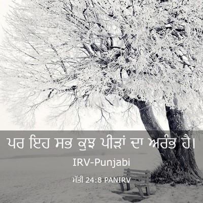 Picture 03 - ਮੱਤੀ 24:8 PANIRV - ਪਰ ਇਹ ਸਭ ਕੁਝ ਪੀੜਾਂ - Bible Verse Picture