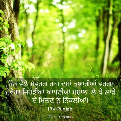 Picture 03 - ਮੱਤੀ 25:1 PANIRV - ਉਸ ਵੇਲੇ ਸਵਰਗ ਰਾਜ - Bible Verse Picture