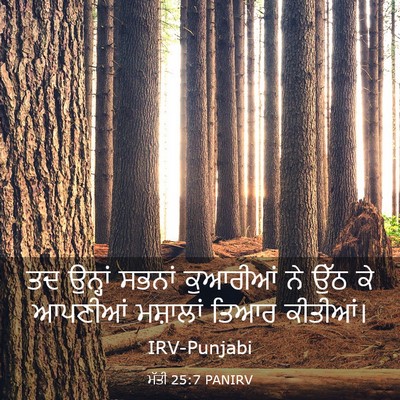 Picture 03 - ਮੱਤੀ 25:7 PANIRV - ਤਦ ਉਨ੍ਹਾਂ ਸਭਨਾਂ - Bible Verse Picture