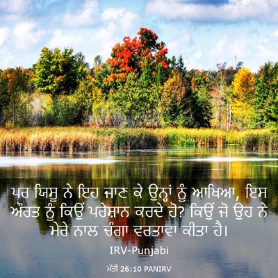 Picture 03 - ਮੱਤੀ 26:10 PANIRV - ਪਰ ਯਿਸੂ ਨੇ ਇਹ ਜਾਣ - Bible Verse Picture