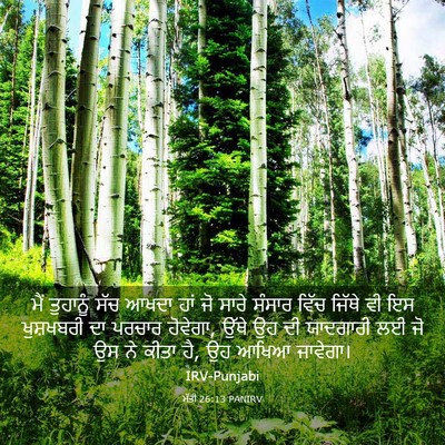 Picture 03 - ਮੱਤੀ 26:13 PANIRV - ਮੈਂ ਤੁਹਾਨੂੰ ਸੱਚ - Bible Verse Picture