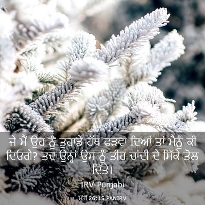 Picture 03 - ਮੱਤੀ 26:15 PANIRV - ਜੇ ਮੈਂ ਉਹ ਨੂੰ - Bible Verse Picture