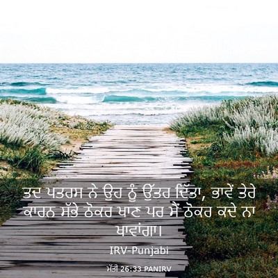 Picture 03 - ਮੱਤੀ 26:33 PANIRV - ਤਦ ਪਤਰਸ ਨੇ ਉਹ ਨੂੰ - Bible Verse Picture