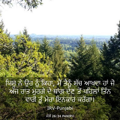 Picture 03 - ਮੱਤੀ 26:34 PANIRV - ਯਿਸੂ ਨੇ ਉਹ ਨੂੰ - Bible Verse Picture