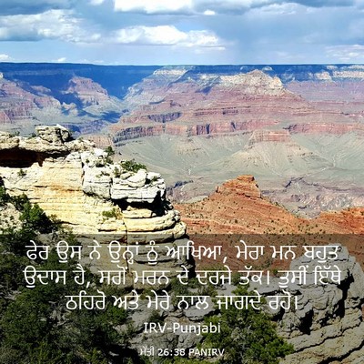 Picture 03 - ਮੱਤੀ 26:38 PANIRV - ਫੇਰ ਉਸ ਨੇ ਉਨ੍ਹਾਂ - Bible Verse Picture
