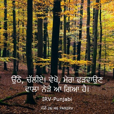 Picture 03 - ਮੱਤੀ 26:46 PANIRV - ਉੱਠੋ, ਚੱਲੀਏ। ਵੇਖੋ, - Bible Verse Picture