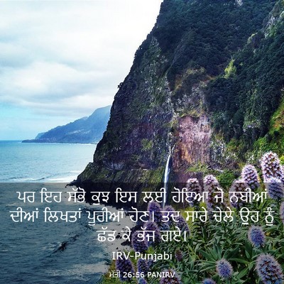 Picture 03 - ਮੱਤੀ 26:56 PANIRV - ਪਰ ਇਹ ਸੱਭੋ ਕੁਝ ਇਸ - Bible Verse Picture