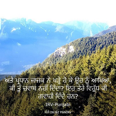 Picture 03 - ਮੱਤੀ 26:62 PANIRV - ਅਤੇ ਪ੍ਰਧਾਨ ਜਾਜਕ ਨੇ - Bible Verse Picture