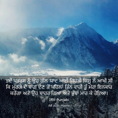 Picture 03 - ਮੱਤੀ 26:75 PANIRV - ਤਦੋਂ ਪਤਰਸ ਨੂੰ ਉਹ - Bible Verse Picture