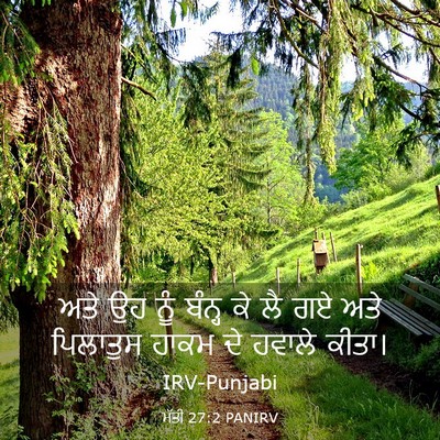 Picture 03 - ਮੱਤੀ 27:2 PANIRV - ਅਤੇ ਉਹ ਨੂੰ ਬੰਨ੍ਹ ਕੇ - Bible Verse Picture