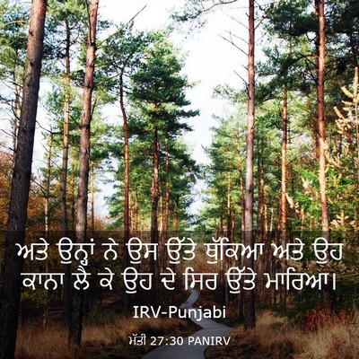 Picture 03 - ਮੱਤੀ 27:30 PANIRV - ਅਤੇ ਉਨ੍ਹਾਂ ਨੇ ਉਸ - Bible Verse Picture