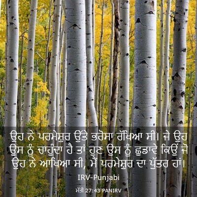 Picture 03 - ਮੱਤੀ 27:43 PANIRV - ਉਹ ਨੇ ਪਰਮੇਸ਼ੁਰ - Bible Verse Picture