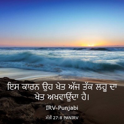 Picture 03 - ਮੱਤੀ 27:8 PANIRV - ਇਸ ਕਾਰਨ ਉਹ ਖੇਤ ਅੱਜ - Bible Verse Picture