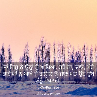 Picture 03 - ਮੱਤੀ 28:10 PANIRV - ਤਾਂ ਯਿਸੂ ਨੇ ਉਨ੍ਹਾਂ - Bible Verse Picture