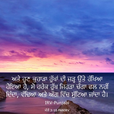 Picture 03 - ਮੱਤੀ 3:10 PANIRV - ਅਤੇ ਹੁਣ ਕੁਹਾੜਾ - Bible Verse Picture