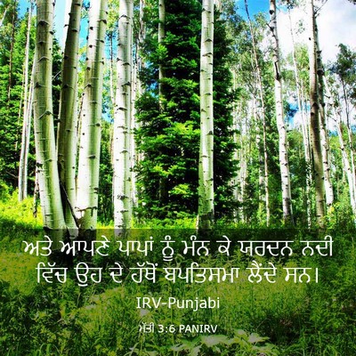 Picture 03 - ਮੱਤੀ 3:6 PANIRV - ਅਤੇ ਆਪਣੇ ਪਾਪਾਂ ਨੂੰ - Bible Verse Picture