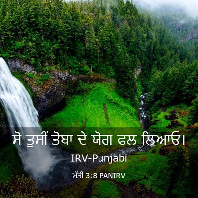 Picture 03 - ਮੱਤੀ 3:8 PANIRV - ਸੋ ਤੁਸੀਂ ਤੋਬਾ ਦੇ - Bible Verse Picture