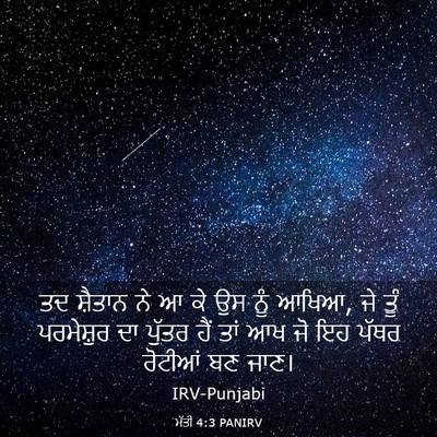 Picture 03 - ਮੱਤੀ 4:3 PANIRV - ਤਦ ਸ਼ੈਤਾਨ ਨੇ ਆ ਕੇ - Bible Verse Picture