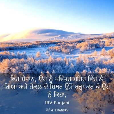 Picture 03 - ਮੱਤੀ 4:5 PANIRV - ਫਿਰ ਸ਼ੈਤਾਨ, ਉਹ ਨੂੰ - Bible Verse Picture