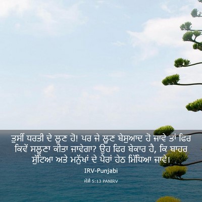 Picture 03 - ਮੱਤੀ 5:13 PANIRV - ਤੁਸੀਂ ਧਰਤੀ ਦੇ ਲੂਣ - Bible Verse Picture