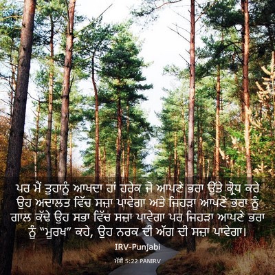 Picture 03 - ਮੱਤੀ 5:22 PANIRV - ਪਰ ਮੈਂ ਤੁਹਾਨੂੰ - Bible Verse Picture