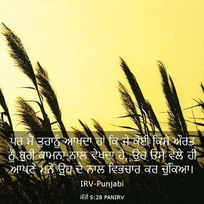 Picture 03 - ਮੱਤੀ 5:28 PANIRV - ਪਰ ਮੈਂ ਤੁਹਾਨੂੰ - Bible Verse Picture