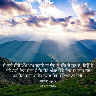 Picture 03 - ਮੱਤੀ 5:29 PANIRV - ਜੇ ਤੇਰੀ ਸੱਜੀ ਅੱਖ - Bible Verse Picture
