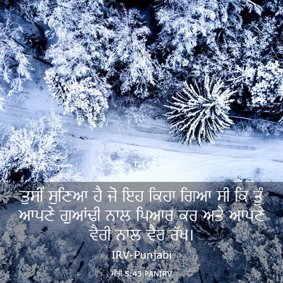 Picture 03 - ਮੱਤੀ 5:43 PANIRV - ਤੁਸੀਂ ਸੁਣਿਆ ਹੈ ਜੋ - Bible Verse Picture