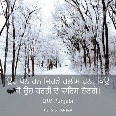 Picture 03 - ਮੱਤੀ 5:5 PANIRV - ਉਹ ਧੰਨ ਹਨ ਜਿਹੜੇ - Bible Verse Picture