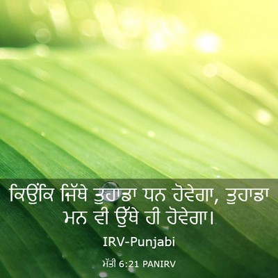 Picture 03 - ਮੱਤੀ 6:21 PANIRV - ਕਿਉਂਕਿ ਜਿੱਥੇ - Bible Verse Picture