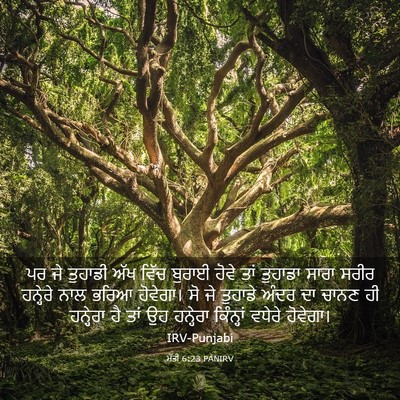 Picture 03 - ਮੱਤੀ 6:23 PANIRV - ਪਰ ਜੇ ਤੁਹਾਡੀ ਅੱਖ - Bible Verse Picture