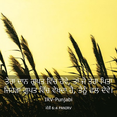 Picture 03 - ਮੱਤੀ 6:4 PANIRV - ਤੇਰਾ ਦਾਨ ਗੁਪਤ ਵਿੱਚ - Bible Verse Picture