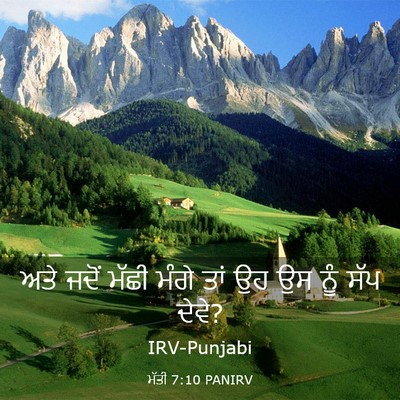 Picture 03 - ਮੱਤੀ 7:10 PANIRV - ਅਤੇ ਜਦੋਂ ਮੱਛੀ ਮੰਗੇ - Bible Verse Picture