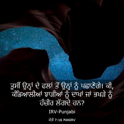 Picture 03 - ਮੱਤੀ 7:16 PANIRV - ਤੁਸੀਂ ਉਨ੍ਹਾਂ ਦੇ - Bible Verse Picture