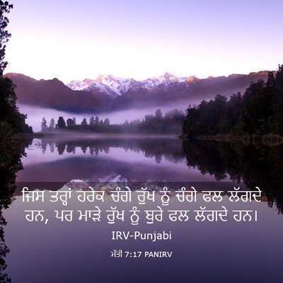 Picture 03 - ਮੱਤੀ 7:17 PANIRV - ਜਿਸ ਤਰ੍ਹਾਂ ਹਰੇਕ - Bible Verse Picture