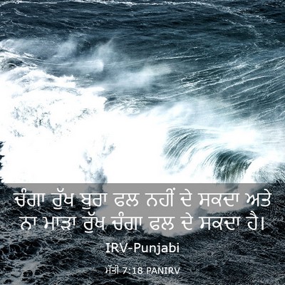 Picture 03 - ਮੱਤੀ 7:18 PANIRV - ਚੰਗਾ ਰੁੱਖ ਬੁਰਾ ਫਲ - Bible Verse Picture