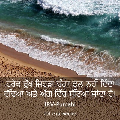 Picture 03 - ਮੱਤੀ 7:19 PANIRV - ਹਰੇਕ ਰੁੱਖ ਜਿਹੜਾ - Bible Verse Picture
