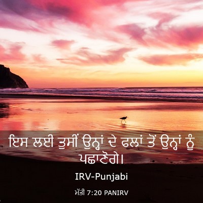 Picture 03 - ਮੱਤੀ 7:20 PANIRV - ਇਸ ਲਈ ਤੁਸੀਂ ਉਨ੍ਹਾਂ - Bible Verse Picture