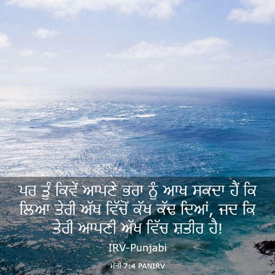 Picture 03 - ਮੱਤੀ 7:4 PANIRV - ਪਰ ਤੂੰ ਕਿਵੇਂ ਆਪਣੇ - Bible Verse Picture