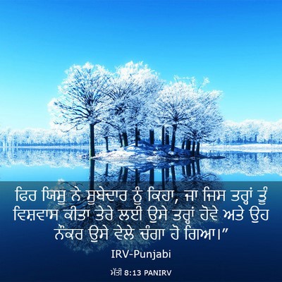 Picture 03 - ਮੱਤੀ 8:13 PANIRV - ਫਿਰ ਯਿਸੂ ਨੇ - Bible Verse Picture