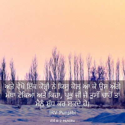 Picture 03 - ਮੱਤੀ 8:2 PANIRV - ਅਤੇ ਵੇਖੋ ਇੱਕ - Bible Verse Picture