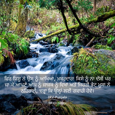 Picture 03 - ਮੱਤੀ 8:4 PANIRV - ਫਿਰ ਯਿਸੂ ਨੇ ਉਸ ਨੂੰ - Bible Verse Picture