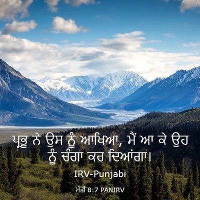 Picture 03 - ਮੱਤੀ 8:7 PANIRV - ਪ੍ਰਭੂ ਨੇ ਉਸ ਨੂੰ - Bible Verse Picture