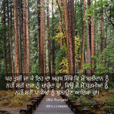 Picture 03 - ਮੱਤੀ 9:13 PANIRV - ਪਰ ਤੁਸੀਂ ਜਾ ਕੇ ਇਹ - Bible Verse Picture