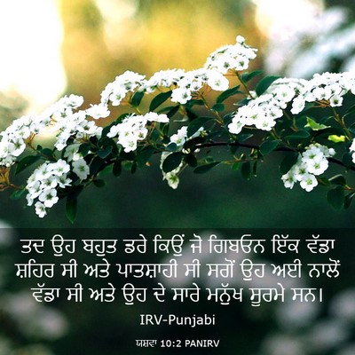 Picture 03 - ਯਸ਼ਵਾ 10:2 PANIRV - ਤਦ ਉਹ ਬਹੁਤ ਡਰੇ ਕਿਉਂ - Bible Verse Picture