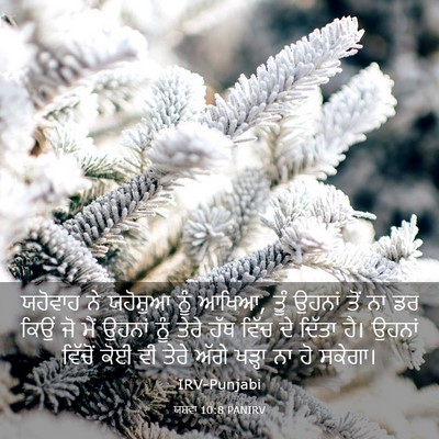 Picture 03 - ਯਸ਼ਵਾ 10:8 PANIRV - ਯਹੋਵਾਹ ਨੇ ਯਹੋਸ਼ੁਆ - Bible Verse Picture