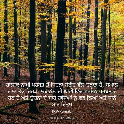 Picture 03 - ਯਸ਼ਵਾ 11:17 PANIRV - ਹਾਲਾਕ ਨਾਮੀ ਪਰਬਤ - Bible Verse Picture