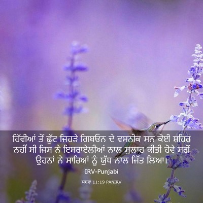 Picture 03 - ਯਸ਼ਵਾ 11:19 PANIRV - ਹਿੱਵੀਆਂ ਤੋਂ ਛੁੱਟ - Bible Verse Picture
