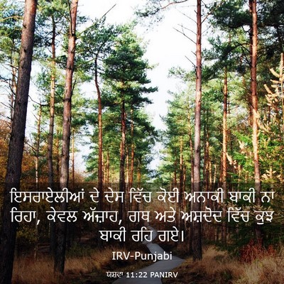 Picture 03 - ਯਸ਼ਵਾ 11:22 PANIRV - ਇਸਰਾਏਲੀਆਂ ਦੇ ਦੇਸ - Bible Verse Picture